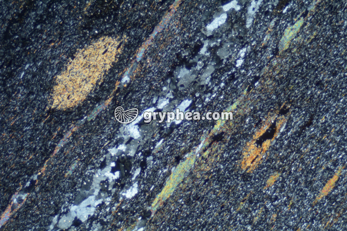 Micaschiste à biotite LPA x6,5 - gryphea.org